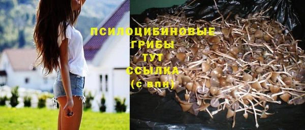 бошки Вязники