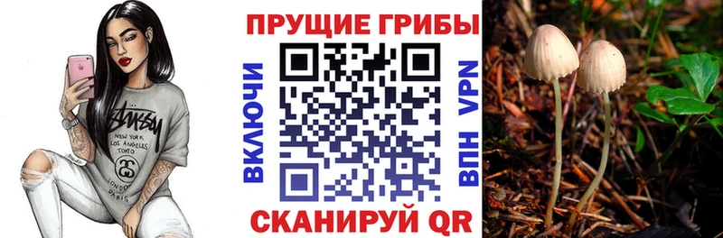 сколько стоит  Отрадный  Галлюциногенные грибы мухоморы 