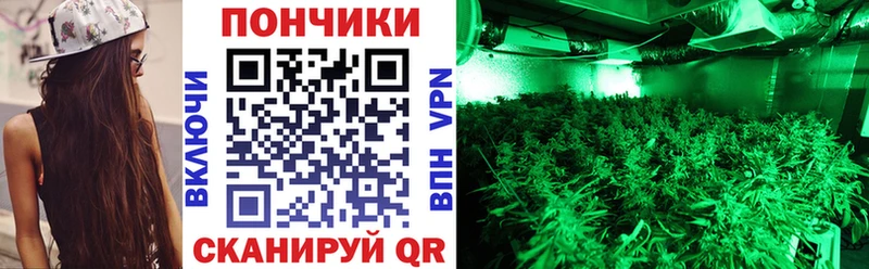 Каннабис ГИДРОПОН Отрадный