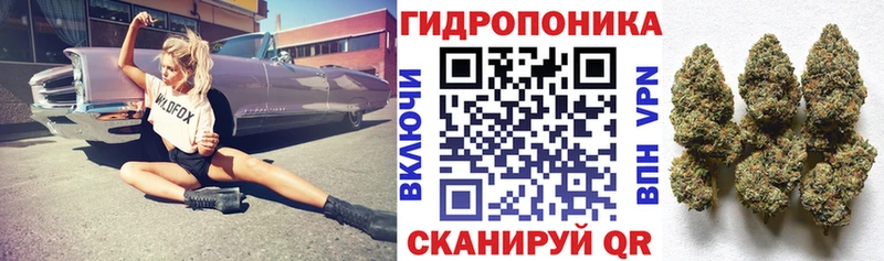 Бошки марихуана конопля  закладка  Отрадный 